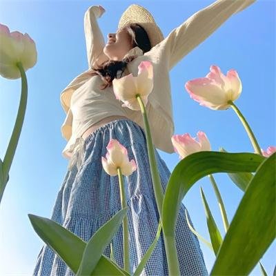 暴政时期 海报